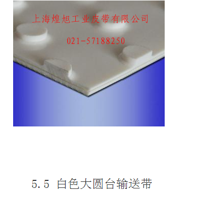 5.5白色大圆台输送带